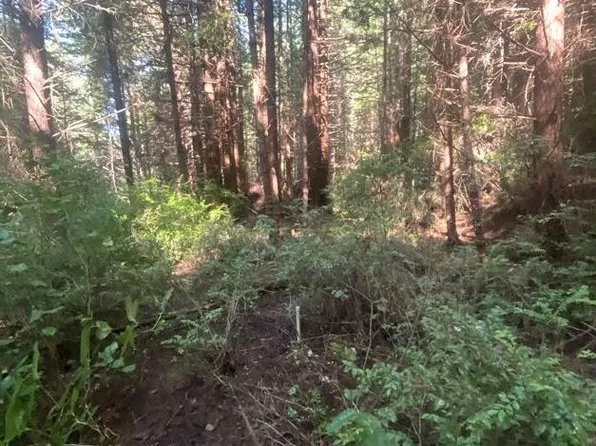 2882 Wood Gulch Rd, Eureka, CA 95503