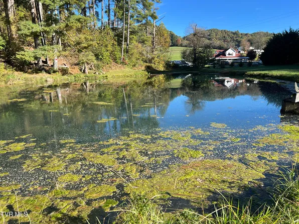 255 Central Heights Rd, Blountville, TN 37617