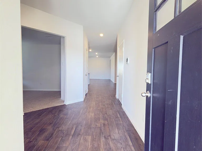 282 Texas Palmetto Cir — Photo 4