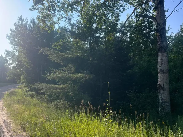 28 Valleyway Dr, Elmira, MI 49730
