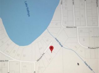 Hibiscus Ave, Paisley, FL 32767