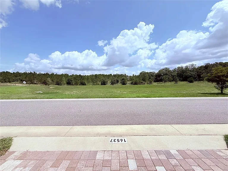 16527 Prairie School Dr — Photo 22