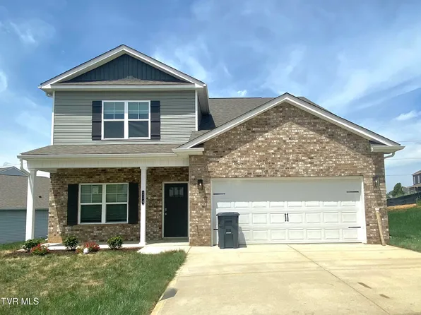114 Mint Ct, Bluff City, TN 37618