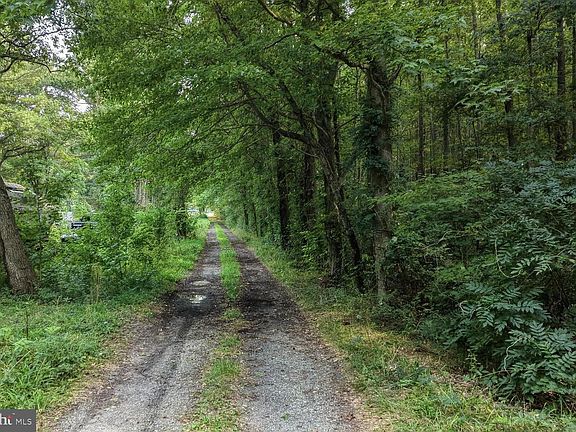 2nd image of 111 Thicket Rd