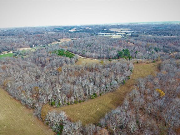 Perfect mix of timber and pasture.