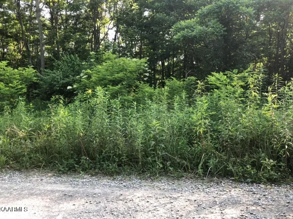 White Oak Ln, Crawford, TN 38554