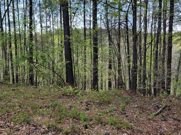 Lake Geneva Dr #22, Wedowee, AL 36278