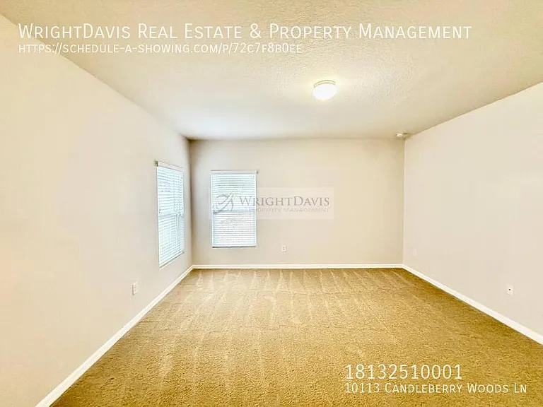 10113 Candleberry Woods Ln — Photo 13