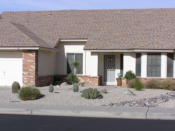 Low water catcus plants