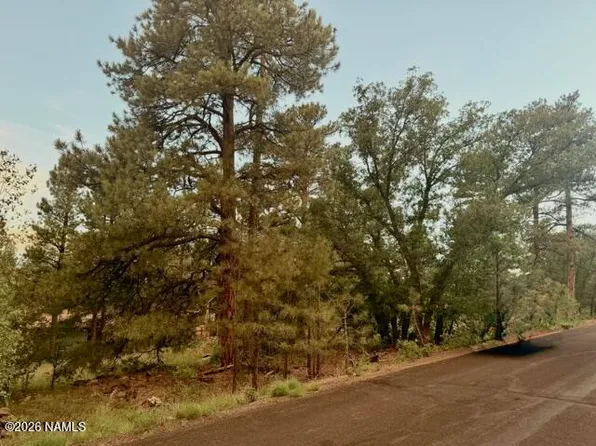 645 E Trout Creek Rd, Munds Park, AZ 86017