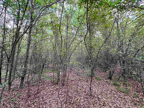 3rd image of 269 Walker Rd