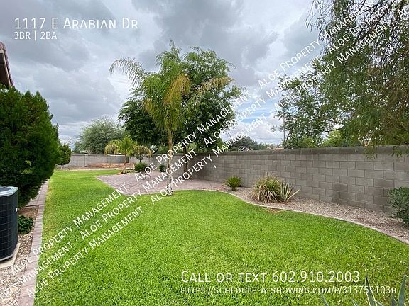 5th image of 1117 E Arabian Dr