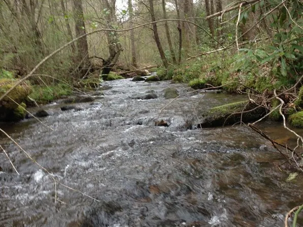 55 Greasy Creek Rd, Murphy, NC 28906