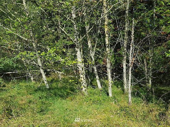 3rd image of 9999 Weston Park