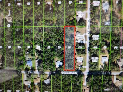 1271 E Bismark St, Hernando, FL, 34442