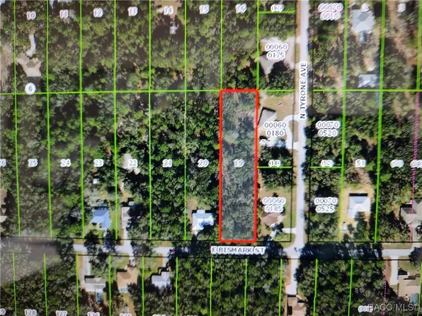 1271 E Bismark St, Hernando, FL 34442