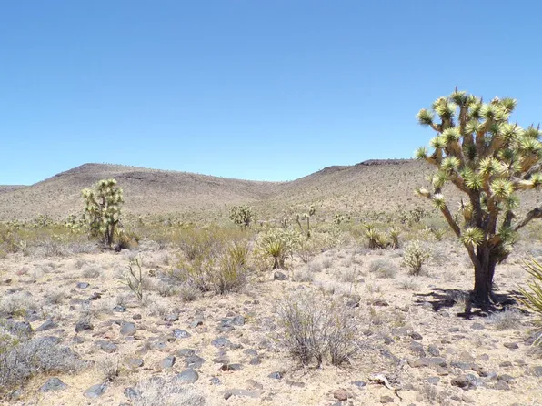 329-01 60th St, Dolan Springs, AZ 86441