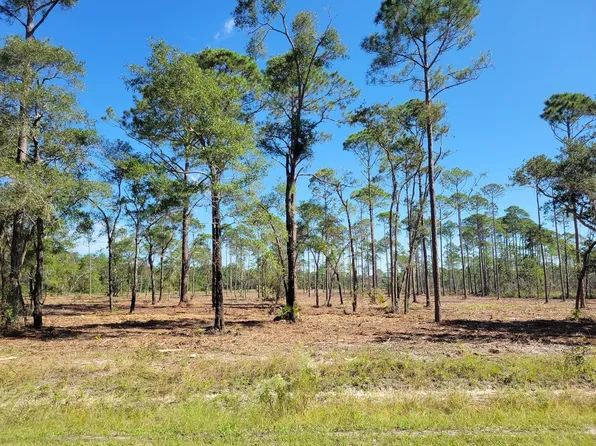 8 Ramsey Way, Panacea, FL 32346