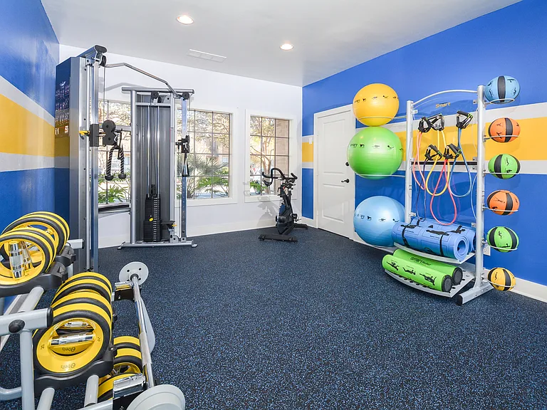 Fitness and Wellness Center