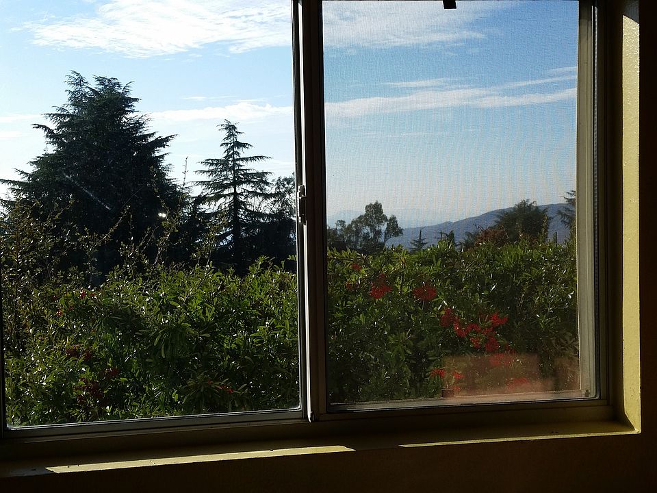 Kitchen view