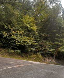 0 One Dalton Br, Harts, WV, 25524