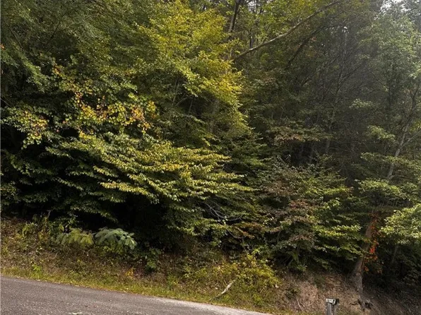 0 One Dalton Br, Harts, WV 25524