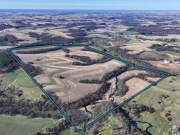 3rd image of 229.98 Acres Whitcomb Lane