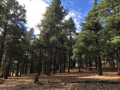 9245 W Coyote Pass, Flagstaff, AZ, 86001