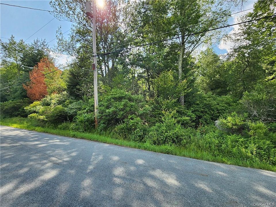 Dill Road, Forestburgh, NY 12777 MLS H6261089 Zillow