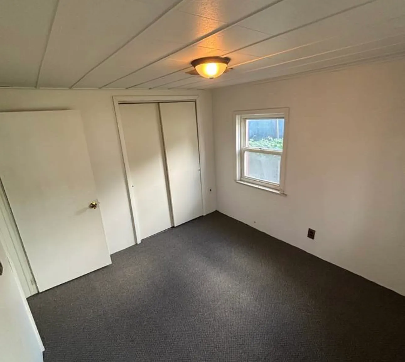 2 bed, 780 sqft, $1,000 — Photo 3