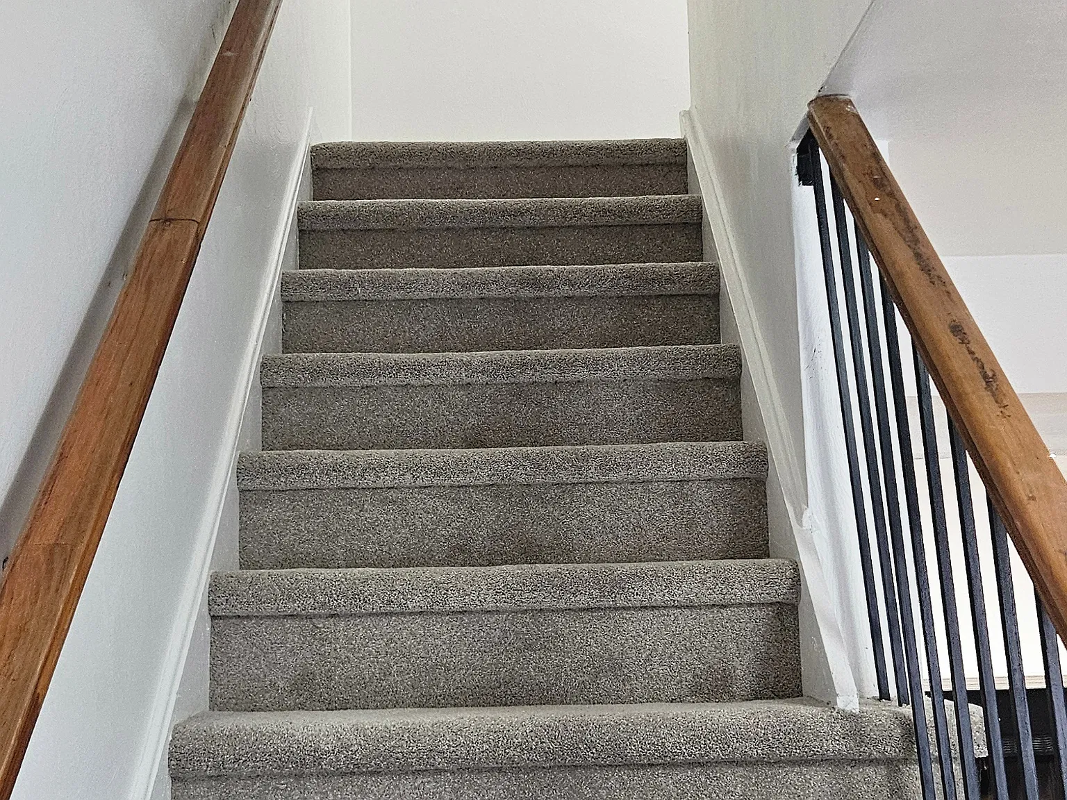 3 bed, 1.5 bath, 1220 sqft, $2,400 — Photo 4