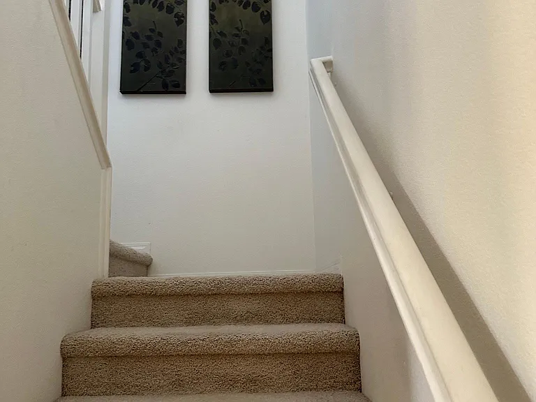 3066 Roia Ln — Photo 23