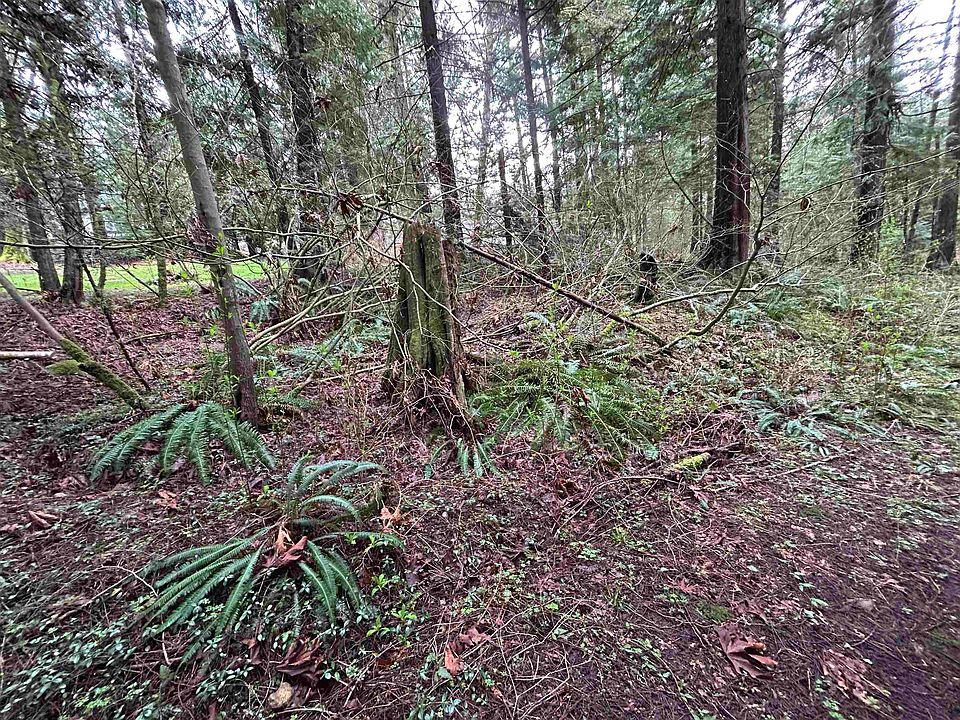 2nd image of 2000 Sunnyside Rd