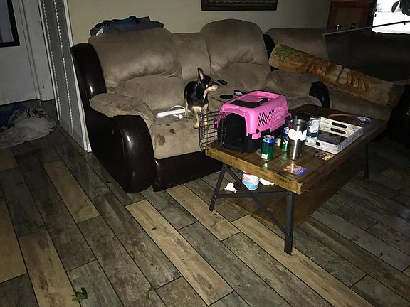 4th image of 631 Goodwin Ave