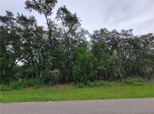 115 N Highview Ave, Hernando, FL 34442
