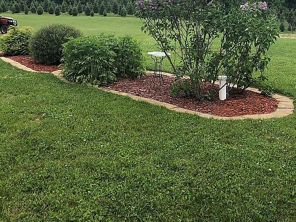 Landscaping in the backyard