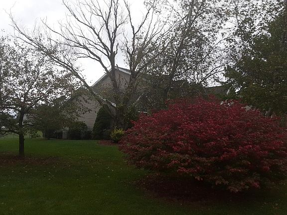 3rd image of 225 Evans Ave