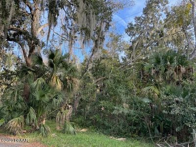 0 Bolton Road, New Smyrna Beach, FL, 32168