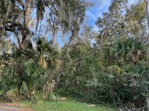 0 Bolton Road, New Smyrna Beach, FL 32168