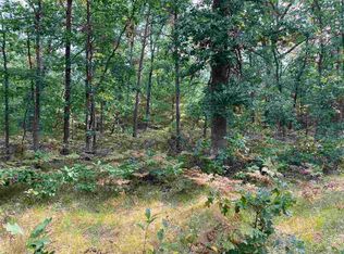 0 E Koenig Rd, Free Soil, MI 49411