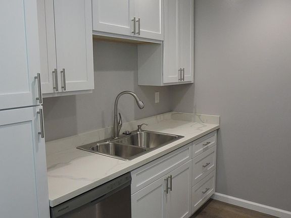 Kitchen sink and dishwasher