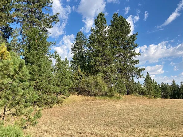 Ostoughton Rd, Valleyford, WA 99036