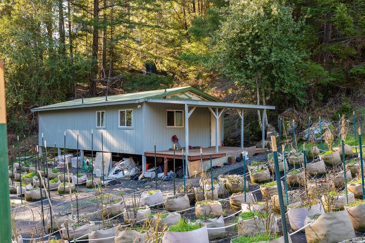 6100 W Highway 20, Willits, CA 95490 Zillow