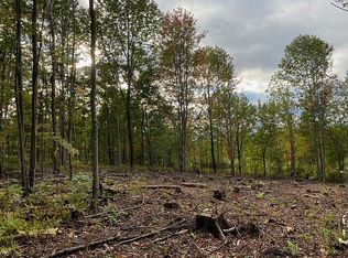 111 Therriault Hill Rd, Williamstown, VT 05679