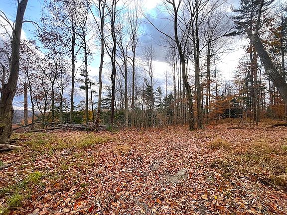 2nd image of Greenbush Rd Lot Wp001