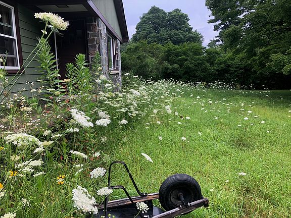 This is the front yard in the height of summer!
