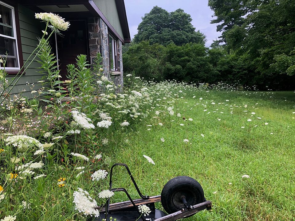 This is the front yard in the height of summer!