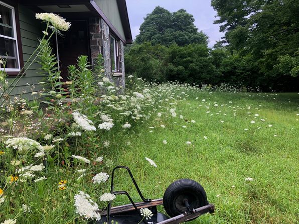 586 Walnut Hill Rd #Basement