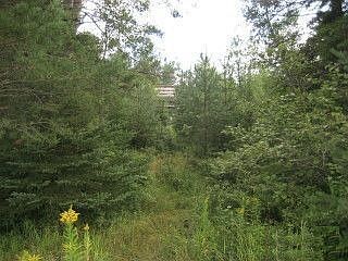 Driveway Path to Old Farm House