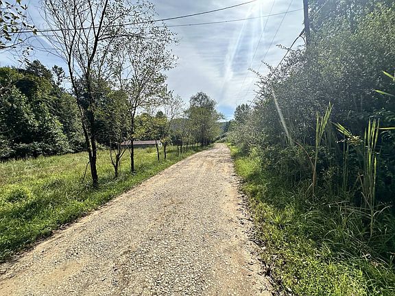4th image of 238 Country Ln